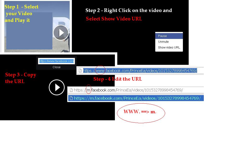 Steps to Download Facebook Videos