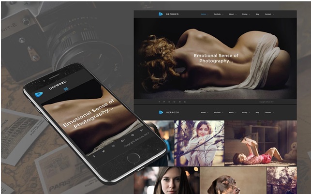 Best MotoCMS Templates for Photographer and Designers Overview