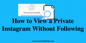 How to View a Private Instagram Without Following