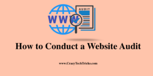 Conduct a Website Audit