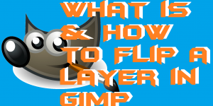 How to Flip a Layer in GIMP