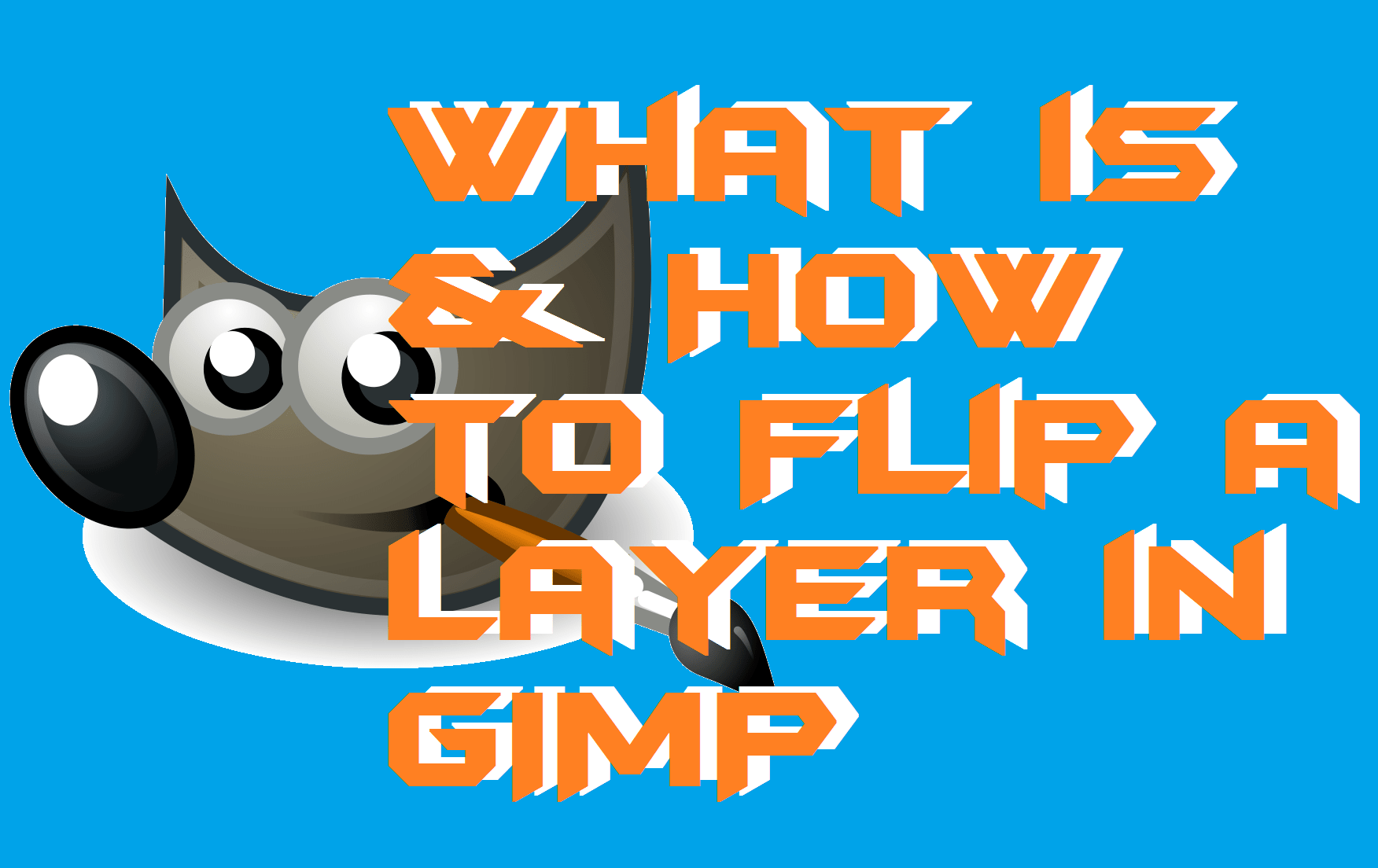 What is & How to Flip a Layer in GIMP