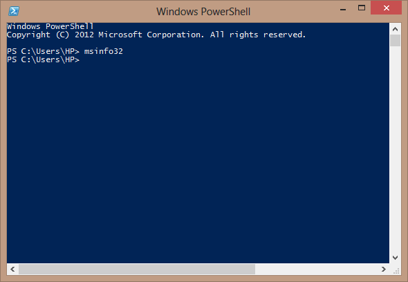 What command can be used to launch the system information windows