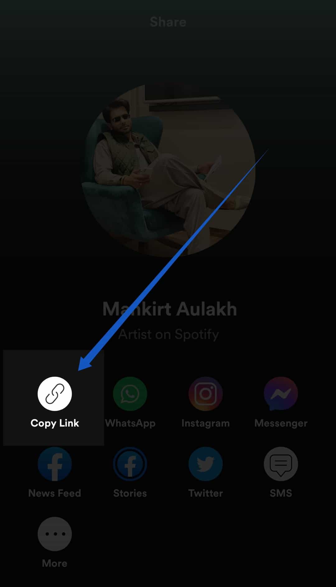 You may now copy the link and paste it into the Spotify search box - Is It Possible to Follow Someone's Spotify Collection Secretly