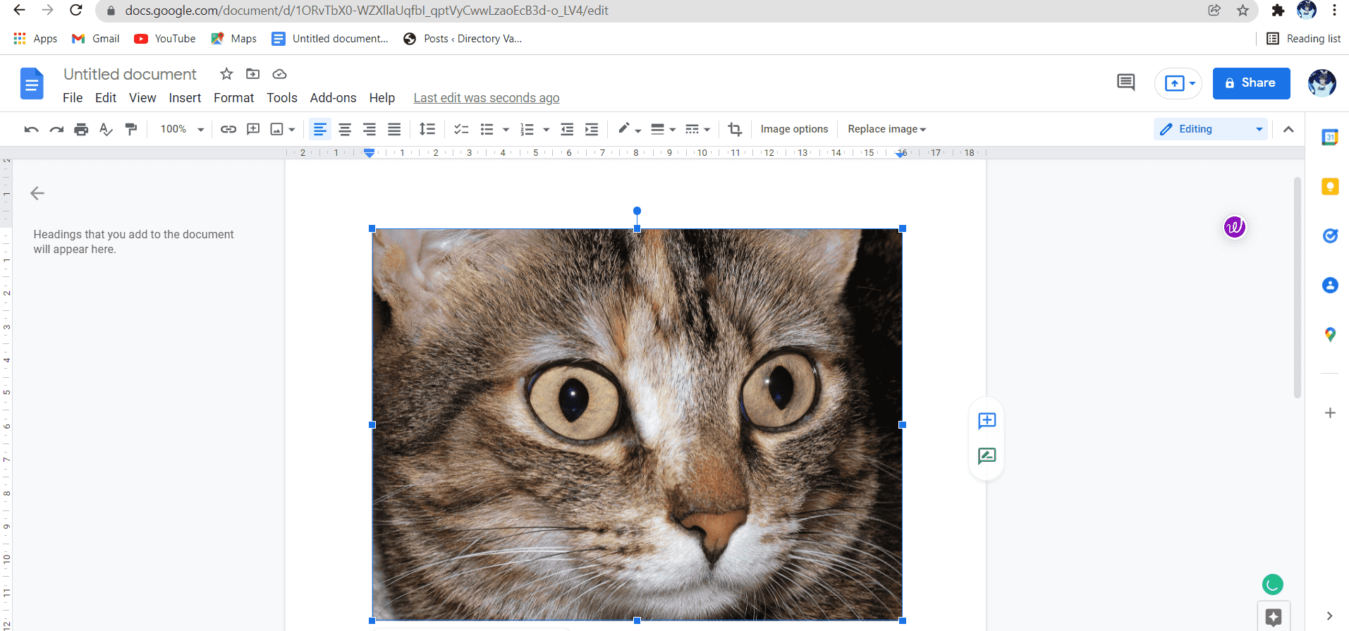 Drag and drop a picture from the document’s editing screen