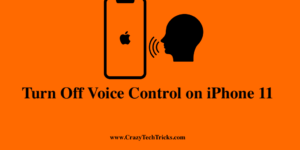 Turn Off Voice Control on iPhone 11
