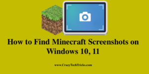 Find Minecraft Screenshots on Windows