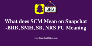 What does SCM Mean on Snapchat - BRB, SMH, SB, NRS & PU Meaning
