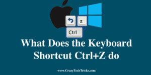 Keyboard Shortcut Ctrl+Z do