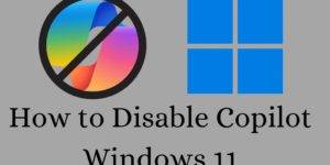 How to Disable Copilot Windows 11 - Top 4 Methods