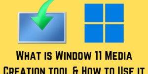What Is Windows 11 Media Creation Tool & How To Use It - Top 5 Steps