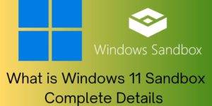 What is Windows 11 Sandbox - Complete Details