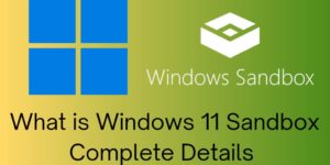 What is Windows 11 Sandbox - Complete Details