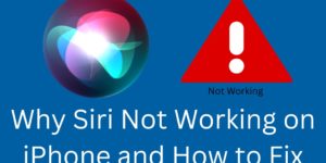 Why Siri Not Working on iPhone and How to Fix - 7 Best Ways