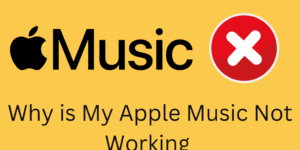 Why is My Apple Music Not Working ? Here is How to Fix it - Top 5 Fixes
