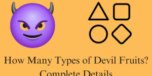 How Many Types of Devil Fruits? Complete Details - The 3 Types