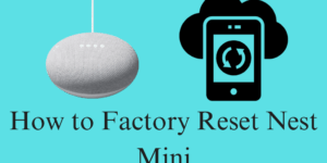 How to Factory Reset Nest Mini – Complete Details