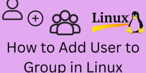 How to Add User to Group in Linux - Complete Guide - 3 Ways