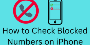 How to Check Blocked Numbers on iPhone - 3 Easy Ways