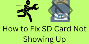 How to Fix SD Card Not Showing Up - 7 Easy Fixes