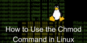 How to Use the Chmod Command in Linux - 2 Main Methods